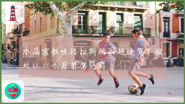 水晶宫教练格拉斯纳因超速驾车被处以六个月禁驾惩罚